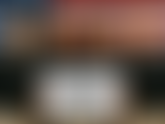 Bilingual Volunteers Wanted 🗣️🤝