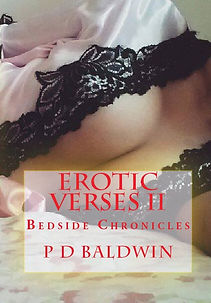 BookCoverPreview EV2 - Copy (2).jpg
