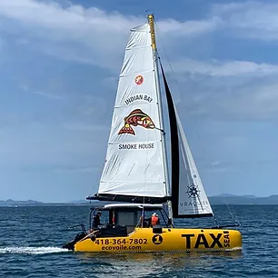 TaxSea_LeveTot_edited.webp