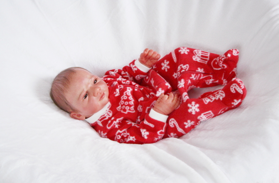 imageedit_1265_3402589907.png