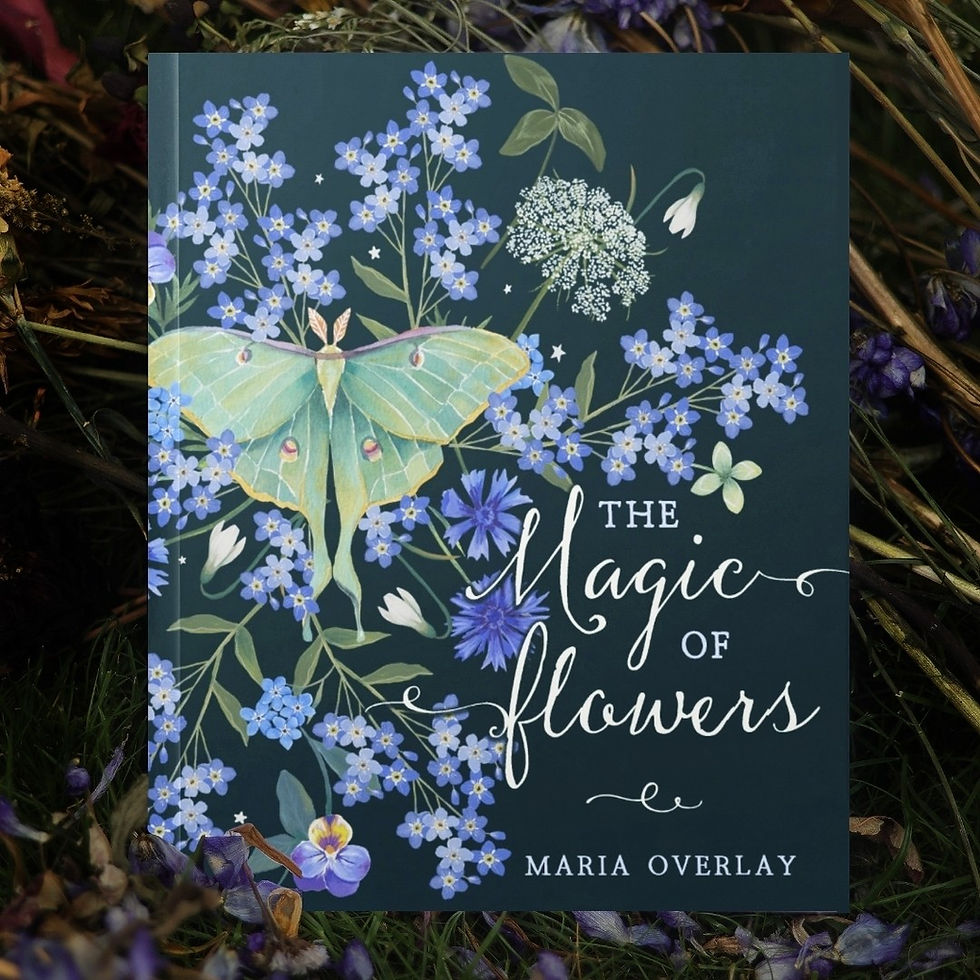 The Magic of Flowers~ An Illustrated Guide