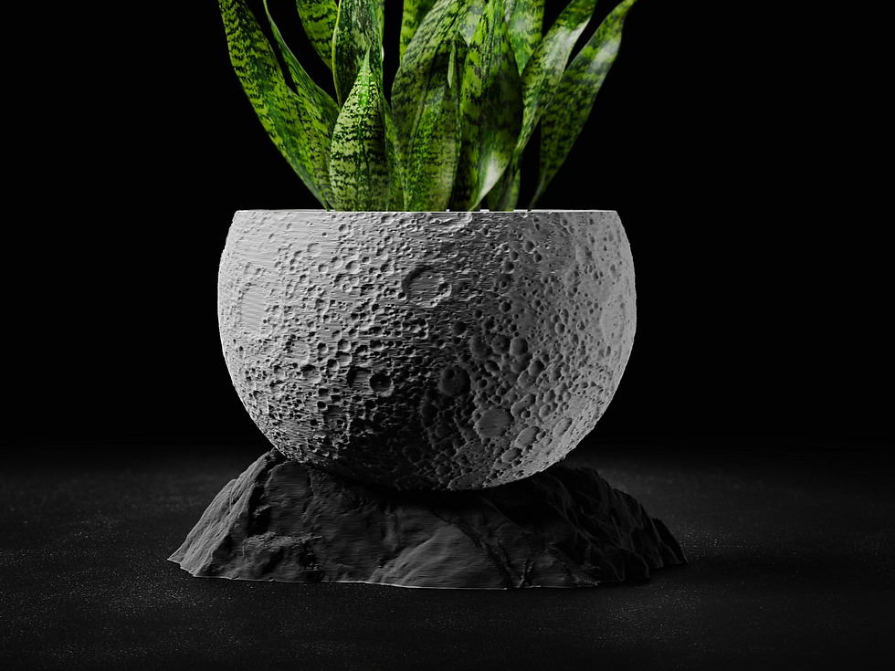 Moon Planter