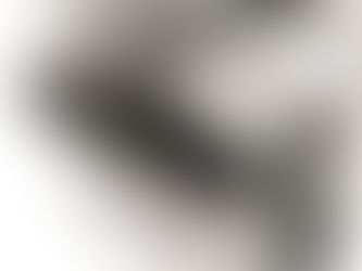  The Hindenburg disaster and my mother