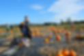 IMG_9460_bea pumpkin patch.png