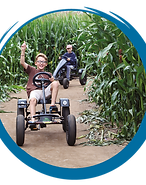 racing on pedal go karts