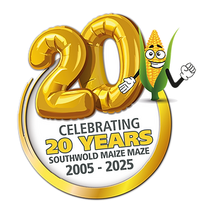 20 years balloons_v2_SMALL.png
