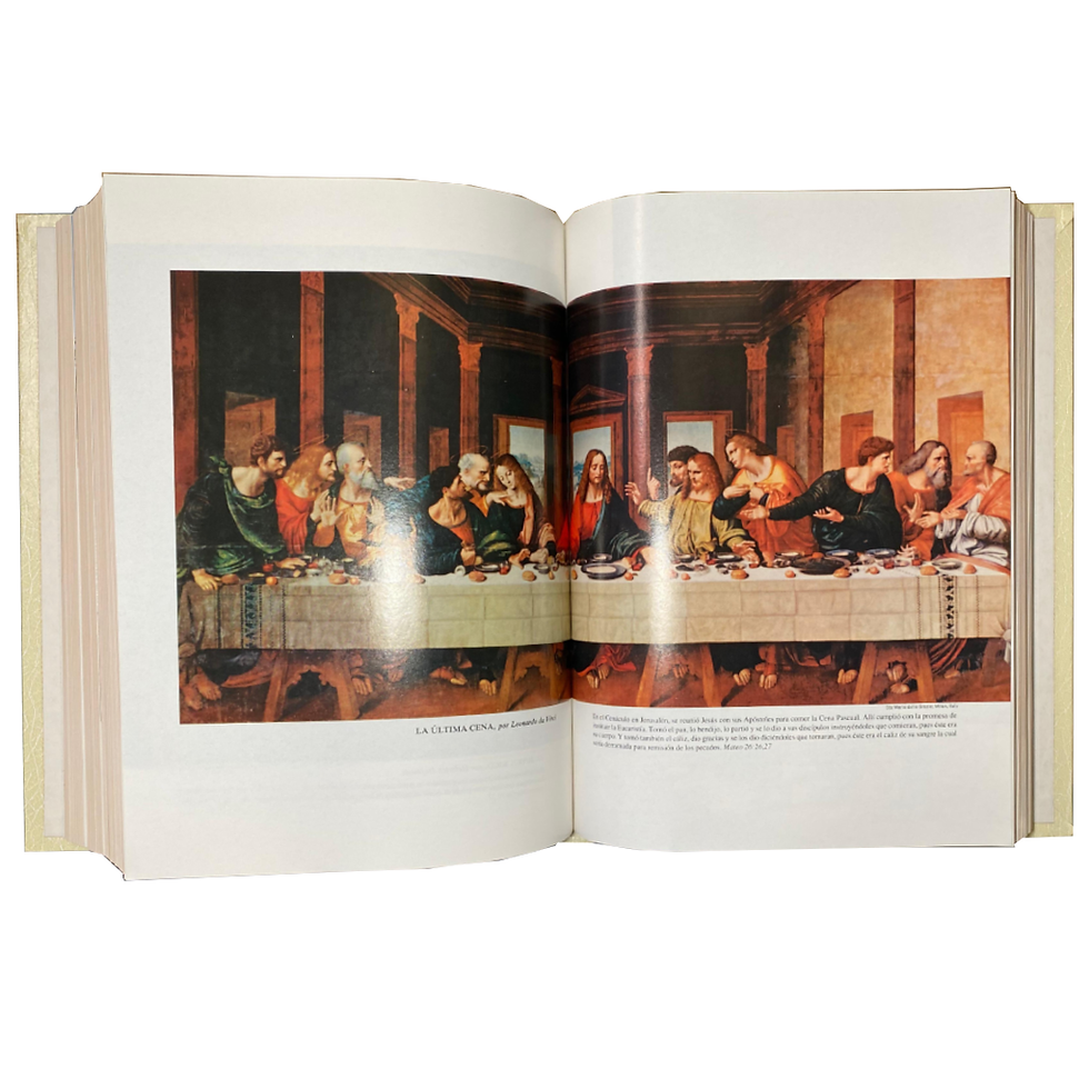 Miniatura: SAGRADA BIBLIA CATOLICA FAMILIAR,  EDICIÓN DE LUJO 