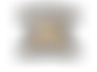 Donde los libros encuentran hogar