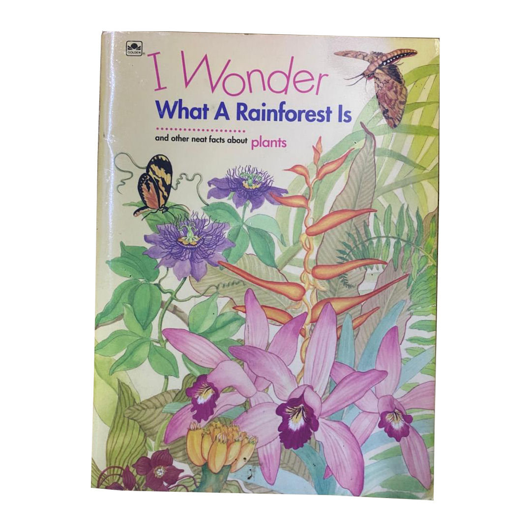 I WONDER WHAT A RAINFOREST IS de ANNABELLE DONATI