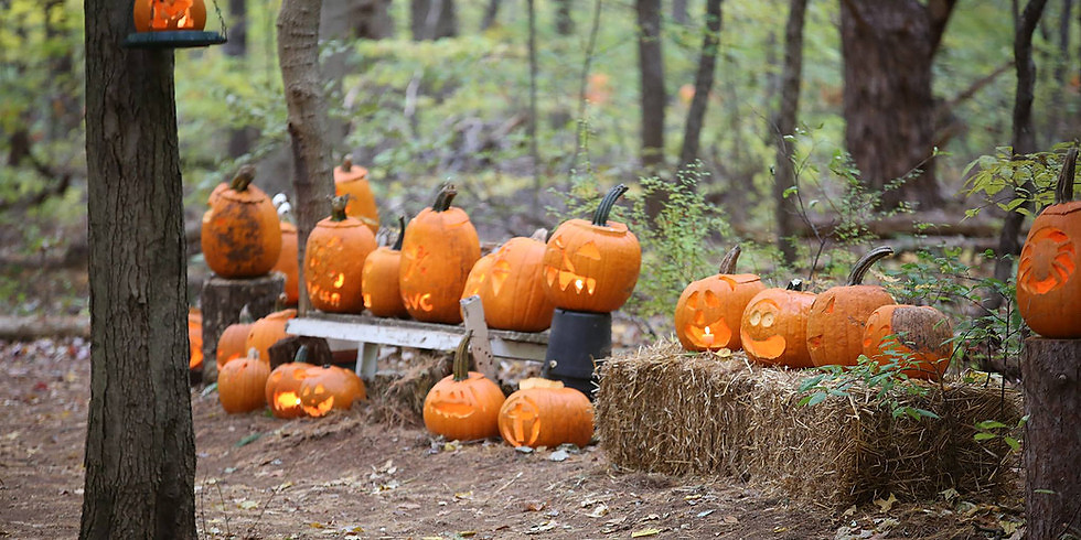 Fun Fall Pumpkin Walk - Oct 29th-30th