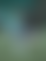 TNS Fixtures Prove A Huge Success