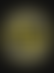 UFCA Reveal New Crest