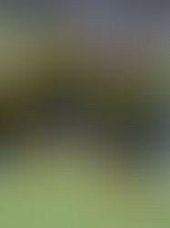 5 Reasons Why Your Child Should Join UFCA YoungStars