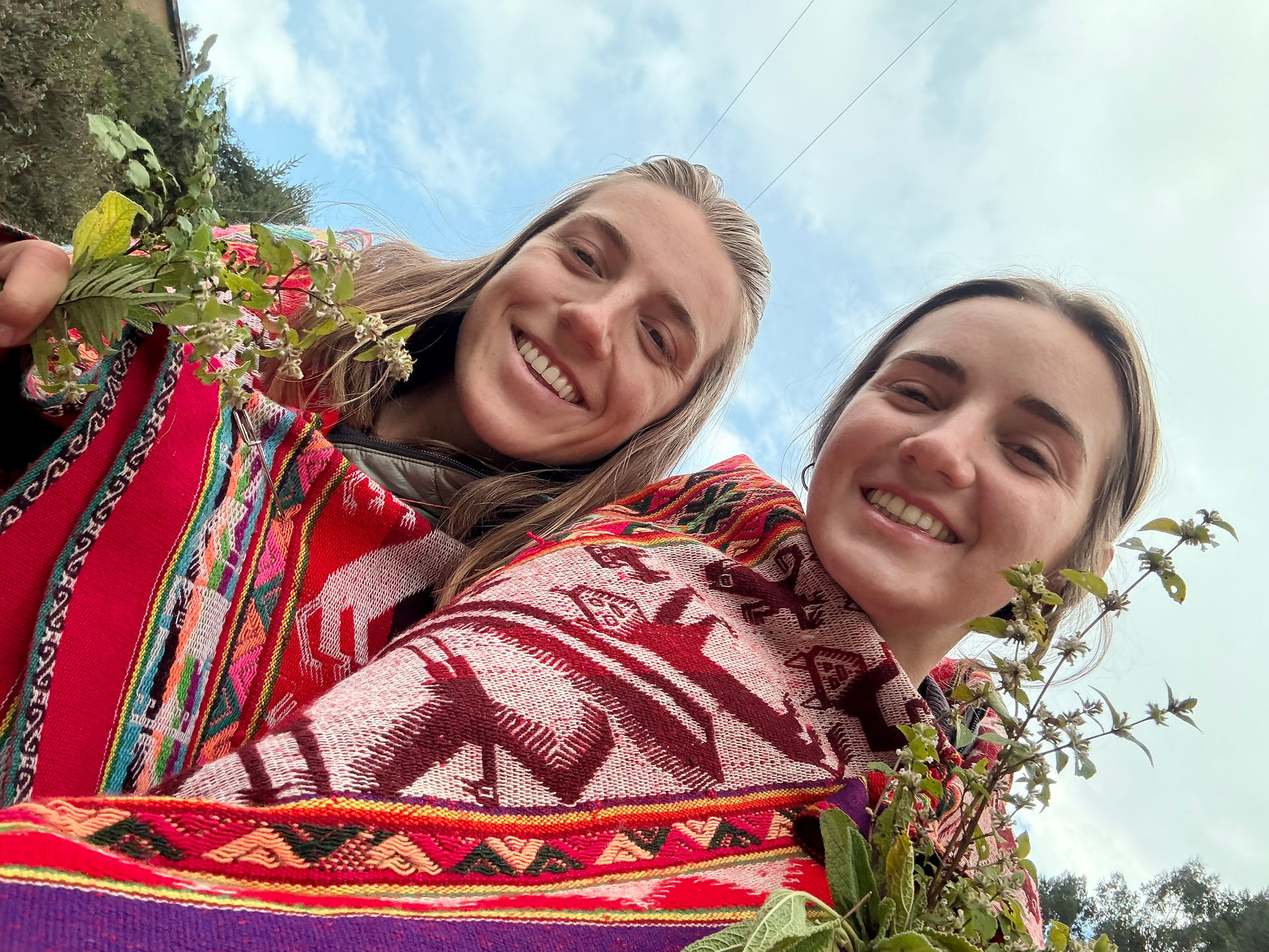 Medicine Walk - Collecting plants