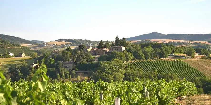 Paysage Villesien en été.webp
