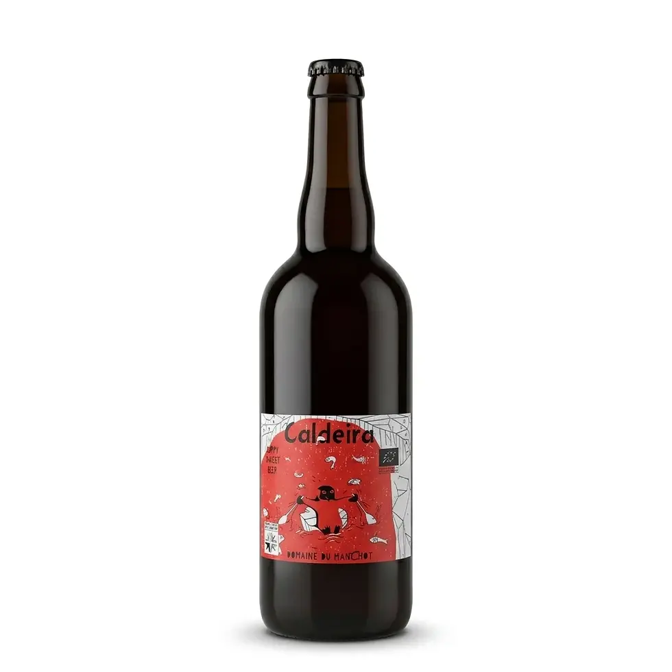 Bouteille de bière HWB Caldeira 75 cl prise de face sur fond blanc