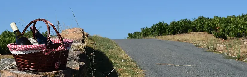 panier en osier rempli de provisions de vin et saucisson posé sur un mur dans les vignes d