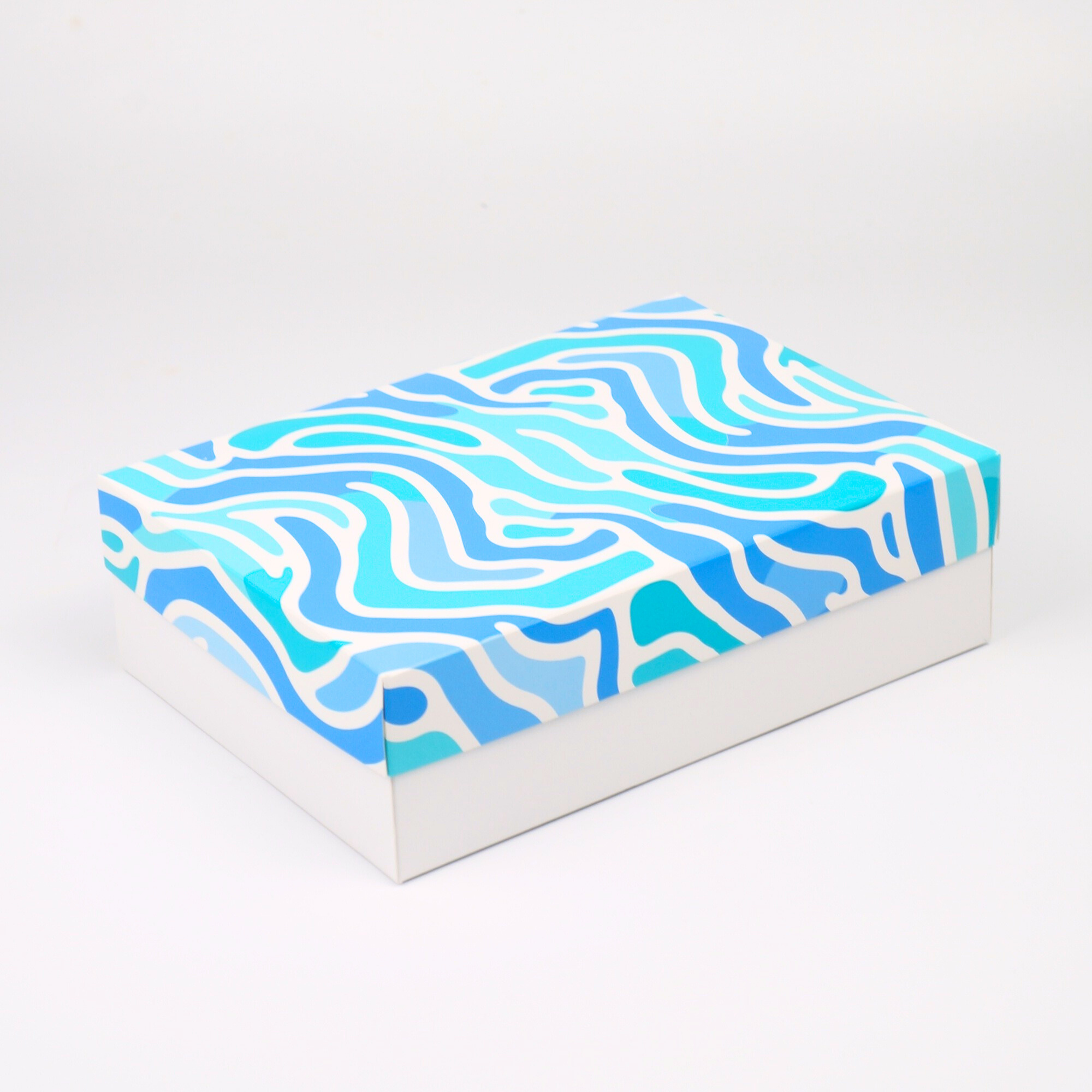 CAJA MULTIUSO 24,5X17X7 - PK025.18