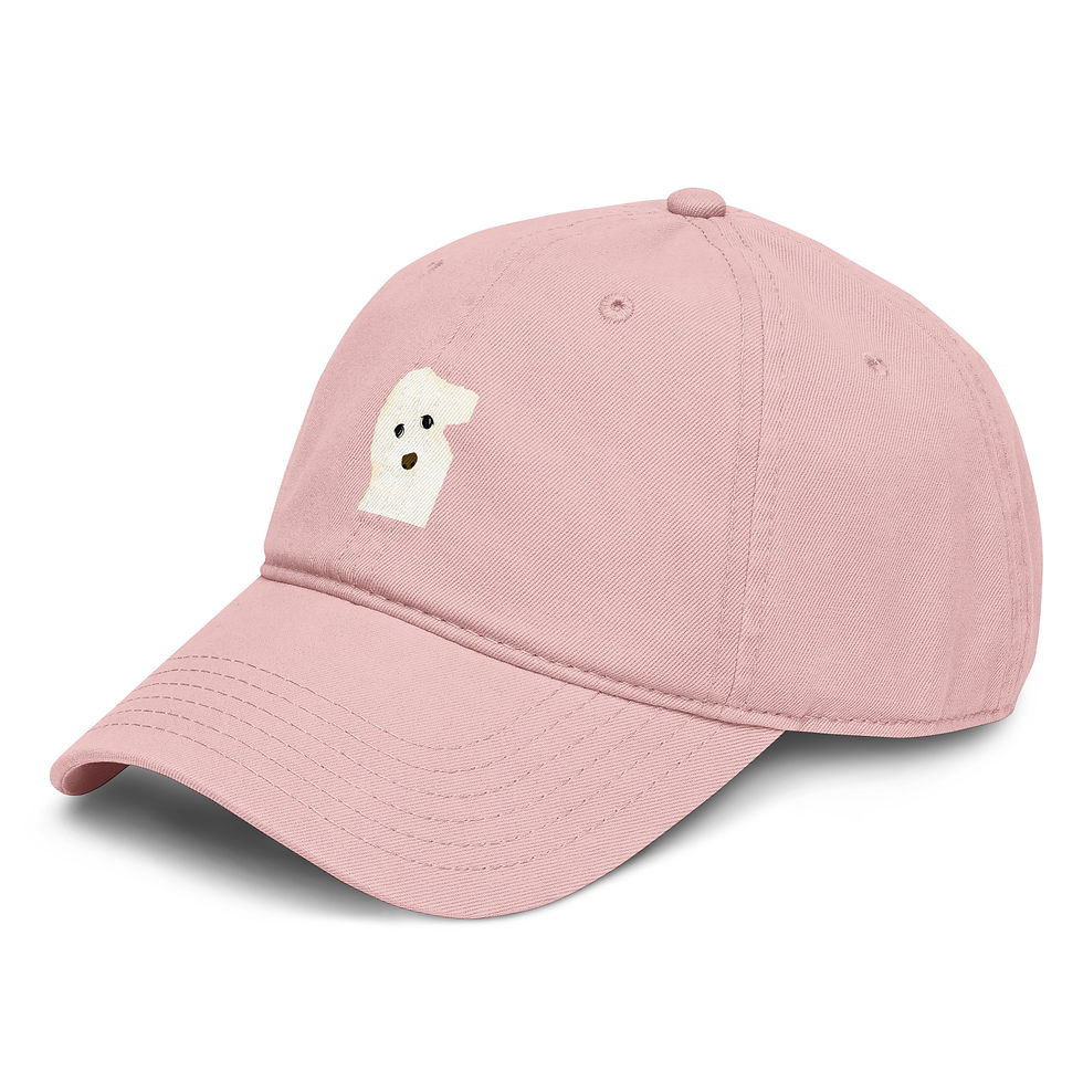 Thumbnail: Garment washed baseball cap - Stinkie Doge