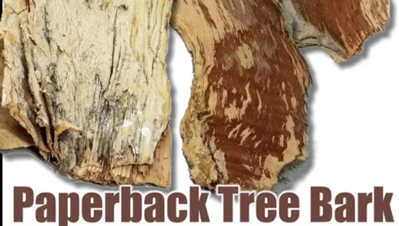 Paperback Bark