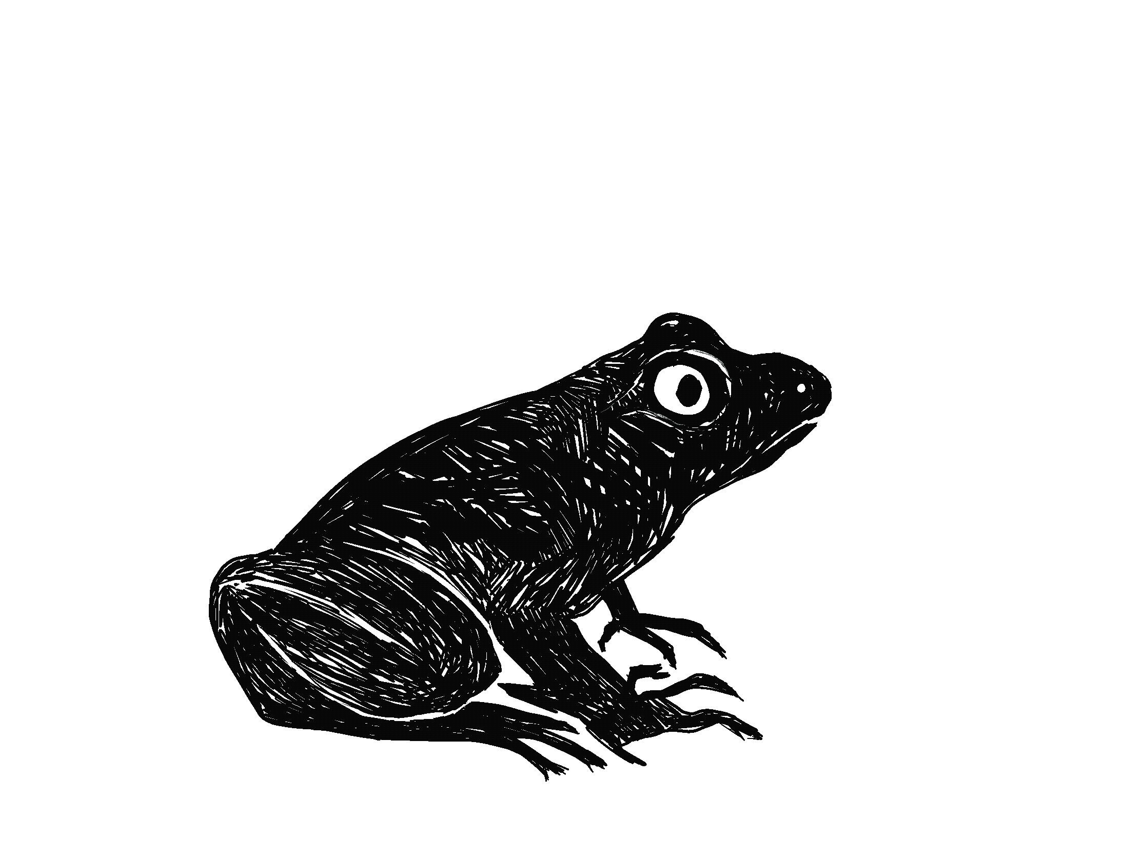 Animation.gif