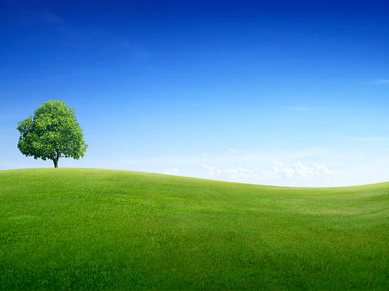 istockphoto-1398141198-612x612.jpg