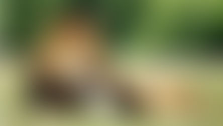 Nossa Esperança: 8. Milênio, Gogue e Magogue e o Julgamento do Grande Trono Branco