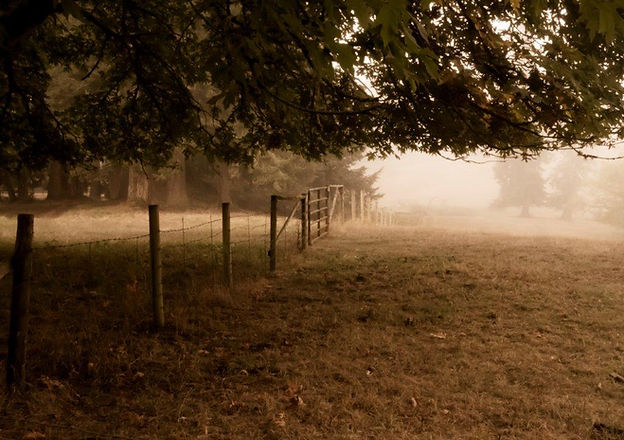Fenceline.jpg