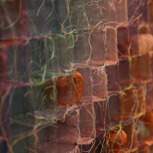 e07 Life through.jpg