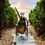 Miniatura: Access Trax, LLC