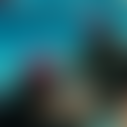 La surveillance des bassins utilisés par les clubs et écoles de plongée