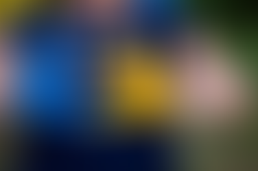 Les moyens wallons pour accompagnés les exilés ukrainiens vers les emplois en pénurie