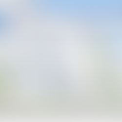 Was macht eigentlich die Immo-Support GmbH?