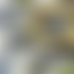 Probewohnen im Stockwerkeigentum