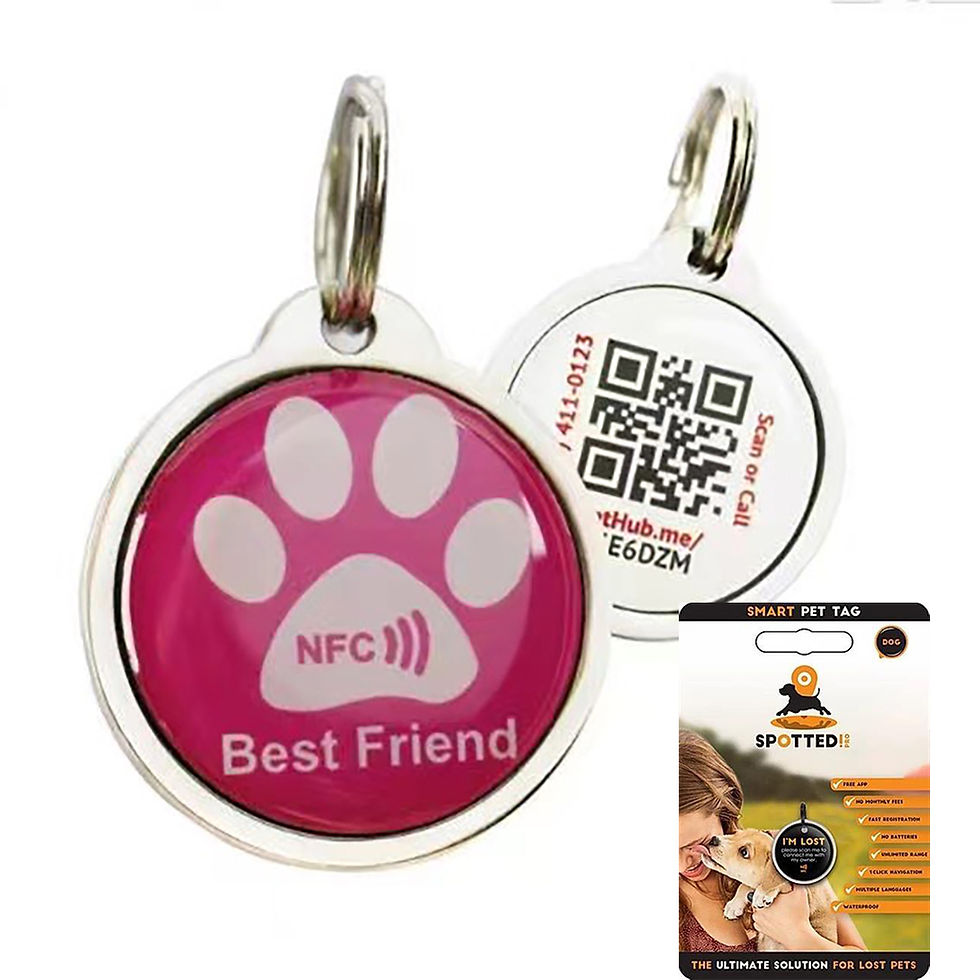Thumbnail: NFC Smart Dog & Cat ID Tag