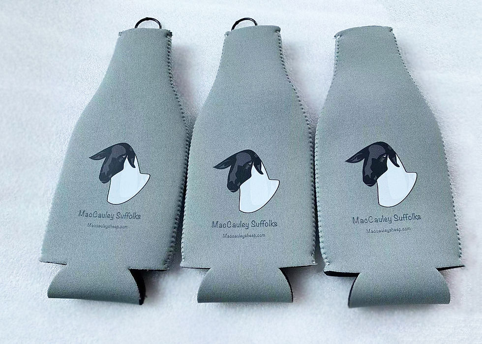 Thumbnail: Bottle Buddy
