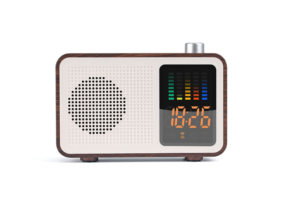 Thumbnail: Radio Bluetooth Speaker