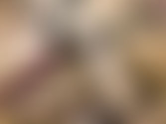 Emma's Musings:The Liberation of Literature