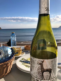 Moraira beach rent villa Rosenberg with pool