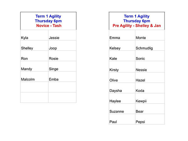 Term 1 THURSDAY 6pm.jpg