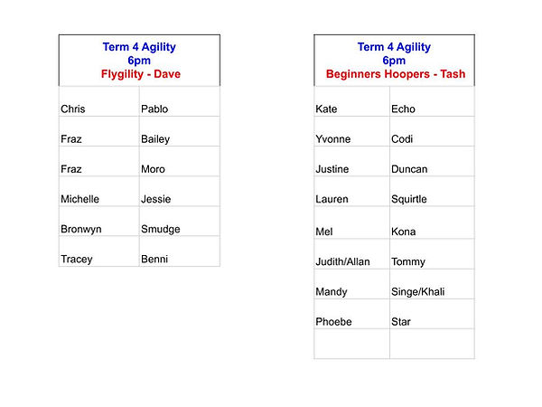 Term 4 WEDNESDAY 6pm (2).jpg