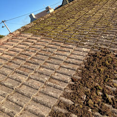 Roof Cleaning Limerick