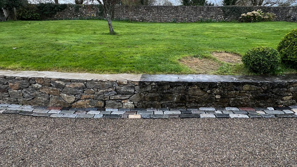 Soft Washing in Limerick and Kerry