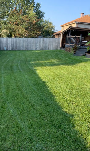 Lawn Care