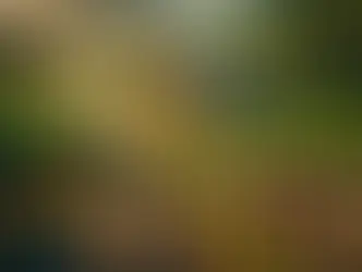 Cailhailian Vineyard: A Serene Escape Close to Wintergreen Resort