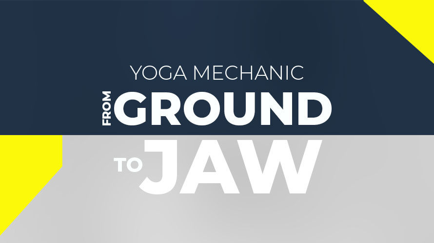 From Ground to Jaw: How Your Feet Shape Your Whole Body