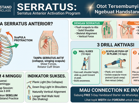 serratus-anterior-img