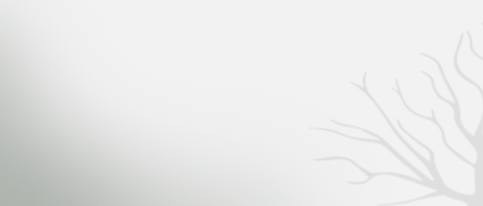 fundo-2.png