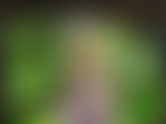 Corona. Your reaction is your opportunity