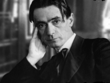 Rediscovering Anthroposophic Medicine: A Holistic Approach for Modern Times?